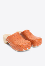 Scholl 40 Leather Mules