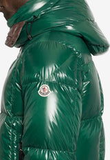Moncler Parana Down Jacket Green K20911A00187597Z8_866