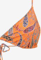 Paisley Print Triangle Bikini