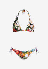 Dolce & Gabbana Floral-Print Triangle Bikini Set Multicolor O8A54J FSGFF-HA5PC