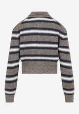 Textured Knit Stripe Cropped Polo Sweater