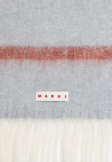 Alpaca-Blend Fringed Scarf