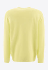 Carhartt Wip Duster Script Sweatshirt Green I03306529T.GD_69218