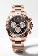 Oyster Perpetual Cosmograph Daytona 40 Watch in Everose Gold