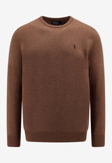 Polo Ralph Lauren Logo-Embroidered Crewneck Sweater 710876714_012_Brown_29844786