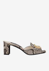Dolce & Gabbana Abaya 60 Python Leather Mules CR1699 A2Y68 80005 Multicolor