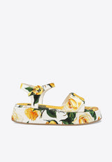 Dolce & Gabbana Kids Girls Rose Print Sandals D11227 A7131 HA3VO Yellow