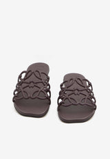 Anagram Petal Slides