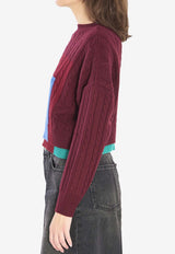 Loewe Colorblocked Cropped Sweater Bordeaux S540Y14KGR--6654