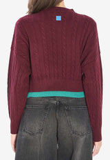 Loewe Colorblocked Cropped Sweater Bordeaux S540Y14KGR--6654