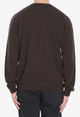 The Row Rod Cashmere V-neck Sweater Brown 1014-Y556-MBR
