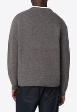 Wool Crewneck Sweater