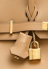 Birkin Shoulder Light 29 in Biscuit Evercolor with Gold Hardware