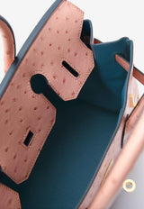 Birkin 30 Verso in Terre Cuite Ostrich Leather with Gold Hardware