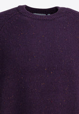 Carhartt Wip Anglistic Wool Sweater Purple I0109773ASXX.03_e6bf0f43-4754-4df8-9da1-07afebb581af