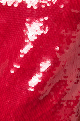 Mermaid Sequined Top