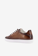 Berluti Playtime Scritto Leather Sneakers Brown S5330018_ML6