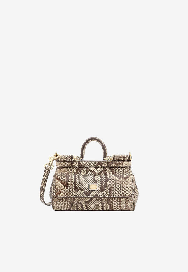 Dolce & Gabbana Small Sicily Python Skin Handbag BB7116A2111_80200