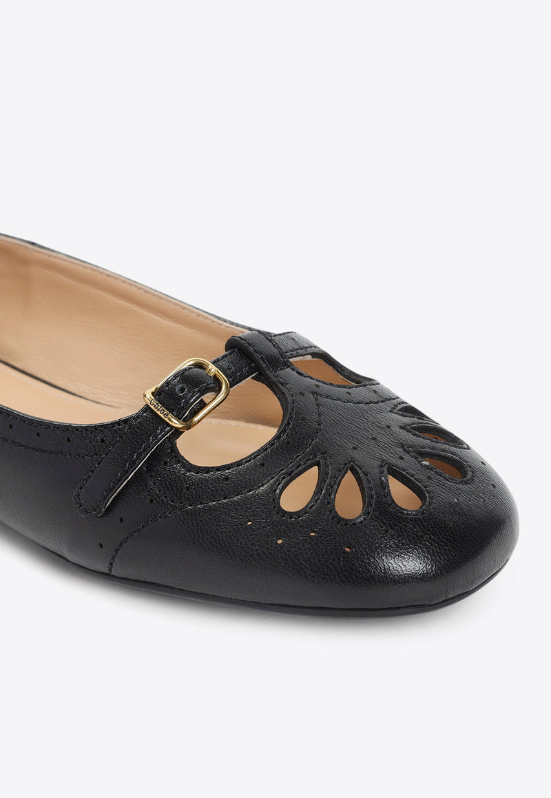Misty Leather Ballet Flats
