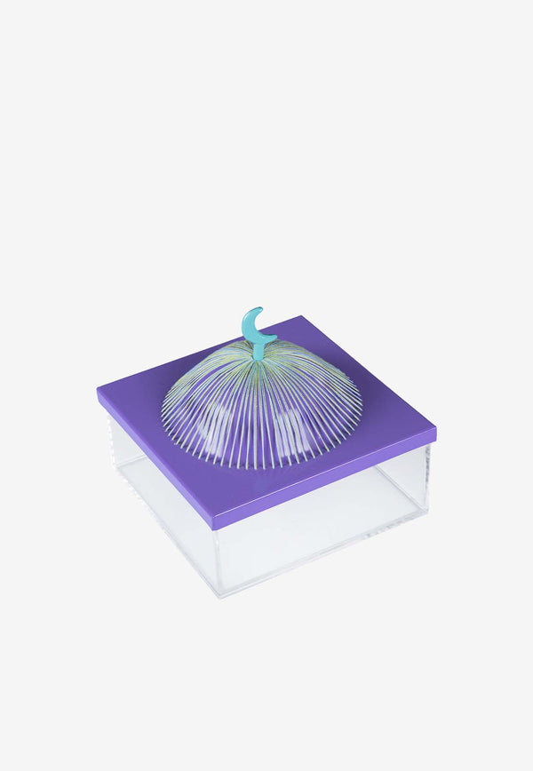 Medium Acrylic Dome Box Purple