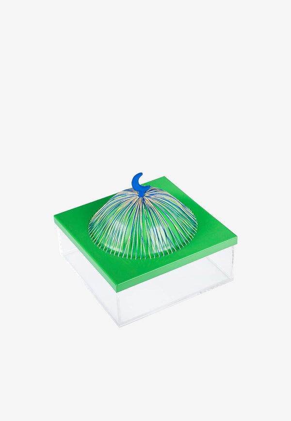 Medium Acrylic Dome Box Green 