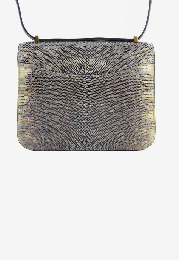 Constance 18 in Ombre Lizard Leather with Gold Hardware
