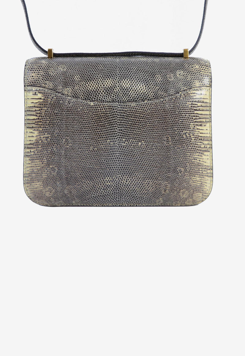 Constance 18 in Ombre Lizard Leather with Gold Hardware