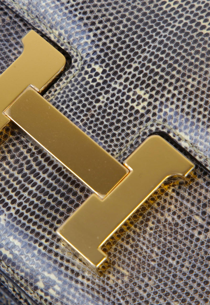 Constance 18 in Ombre Lizard Leather with Gold Hardware