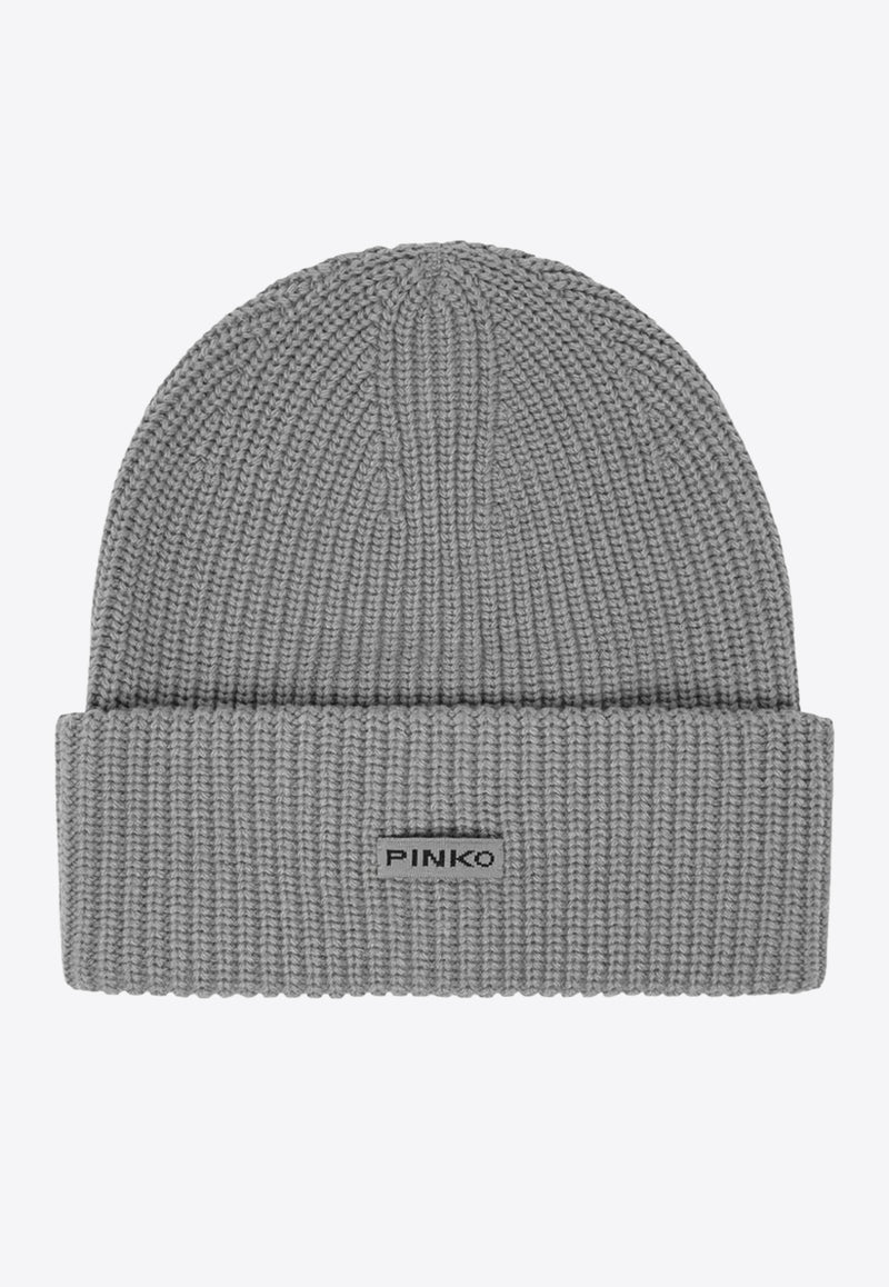 PINKO Logo Label Ribbed Beanie Gray 105993A2Z4_II2