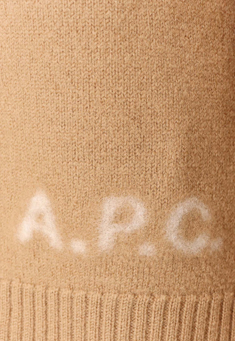 A.P.C. Walter Turtleneck Wool Sweater Beige WVBDJM23248CAB_Brown_38331719