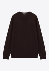 Long-Sleeved Wool T-shirt