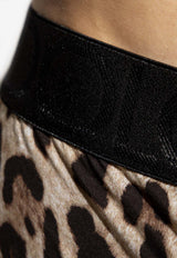 Dolce & Gabbana Leopard Print Briefs Brown M3D24J ONO03-HA93M