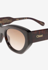 Chloé Gayia Oval Sunglasses Brown CH0220S 0-002