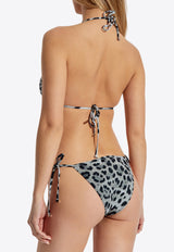 Dolce & Gabbana Leopard Print Halterneck Bikini Gray O8A02J ONO11-HI13N