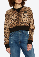 Dolce & Gabbana Leopard Print Cropped Sweatshirt Brown F9S46T FS785-HY13M