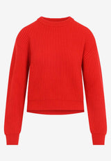 Ribbed Knit Wool Sweater