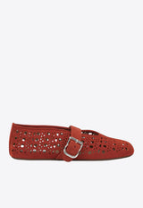 Vienne Perforated Suede Mary Jane Flats