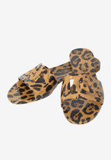 Dolce & Gabbana Leopard Print DG Logo Rubber Slides Brown CW2215-A0017-HY13M