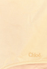 Chloé Lace-Trimmed V-neck Bodysuit Brown CH26UBD34989277_Sheerbrown_70331730