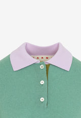 Cashmere Polo Sweater