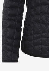 Eglantier Down Jacket