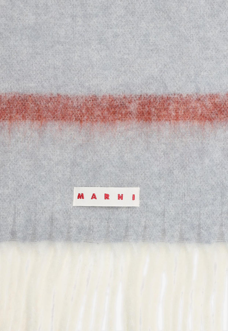 Alpaca-Blend Fringed Scarf