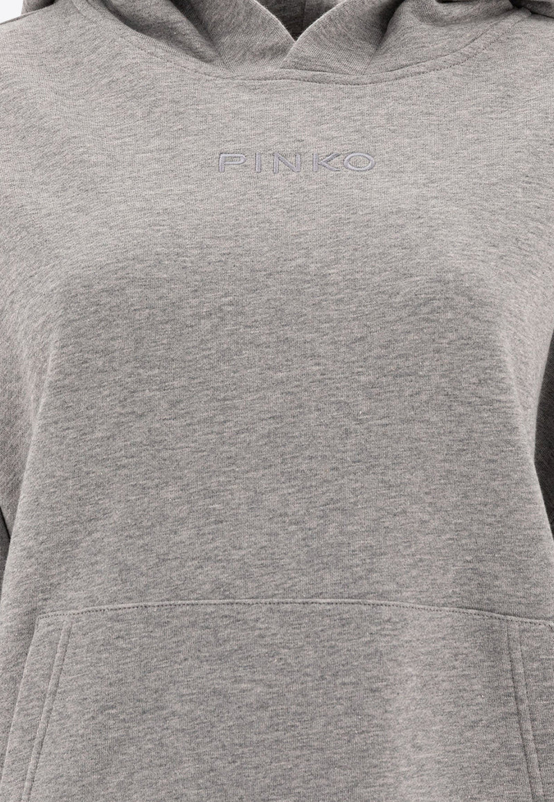 PINKO Logo Embroidered Hooded Sweatshirt Gray 104623A2F9I42_78142