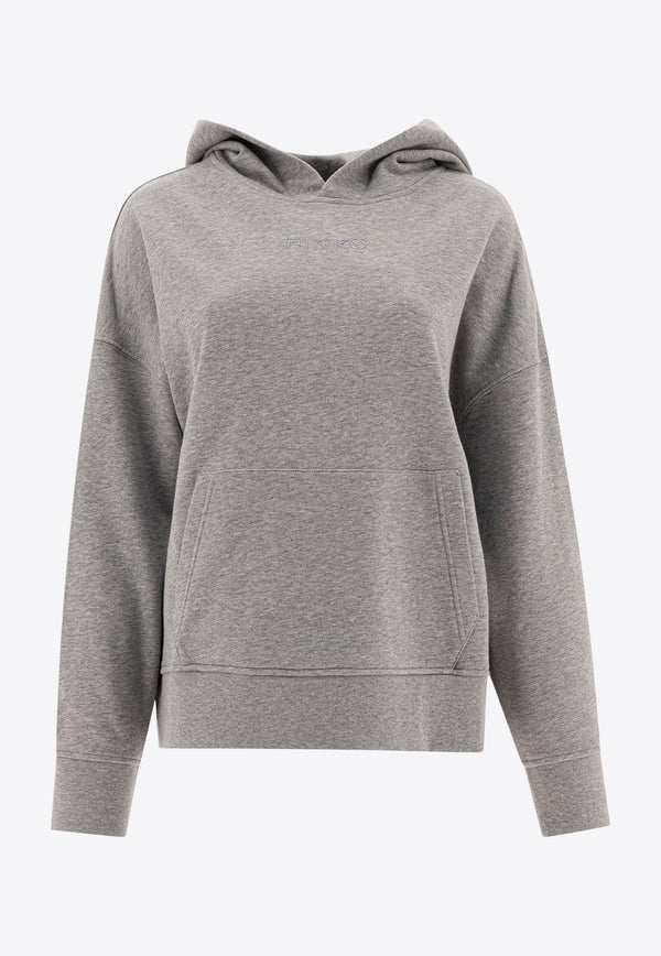 PINKO Logo Embroidered Hooded Sweatshirt Gray 104623A2F9I42_78142