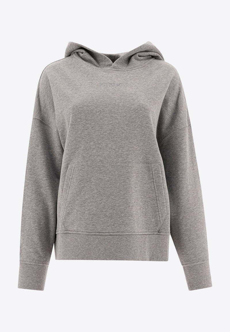 PINKO Logo Embroidered Hooded Sweatshirt Gray 104623A2F9I42_78142