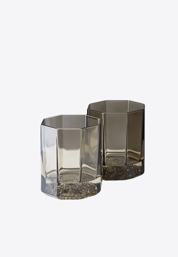 Versace Medusa Lumiere Whisky Tumblers - Set of 2 20665-321392-48870 Gray