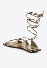 The Attico Snakeskin Wraparound Flat Sandals Beige 241WS794EL003/O_ATTIC-620