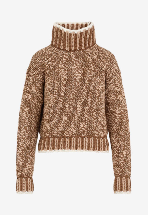 Tricot Turtleneck Sweater