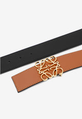 Reversible Anagram Belt