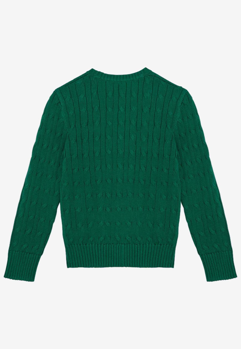 Polo Ralph Lauren Kids Boys Cable Knit Logo Sweater Green 323702674065CO/P_POLOR-AG